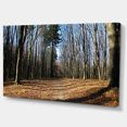 thumbnail image 2 of Fall Forest in Sunlight and Shadows - Modern Forest Canvas Art, 2 of 3