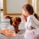 thumbnail image 3 of Herramientas y mejoras para el hogar Alimentador automático de agua para perros Dispensador de agua potable que fluye sin agua en botella Alimentador de agua, 3 of 5