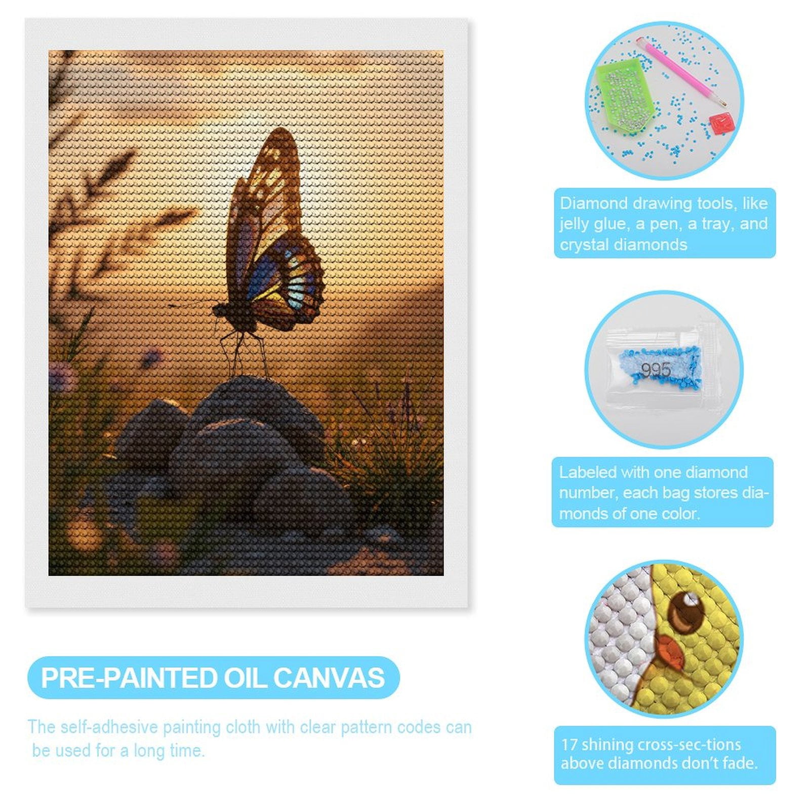 Diamond Art Kit for Adults, Butterfly Sunset Rock Tranquil Scene Diamond Painting for Adults Beginners, 5D DIY Diamond Art Painting Kits, Colorful Diamond Painting Craft for Home Decor 12x16