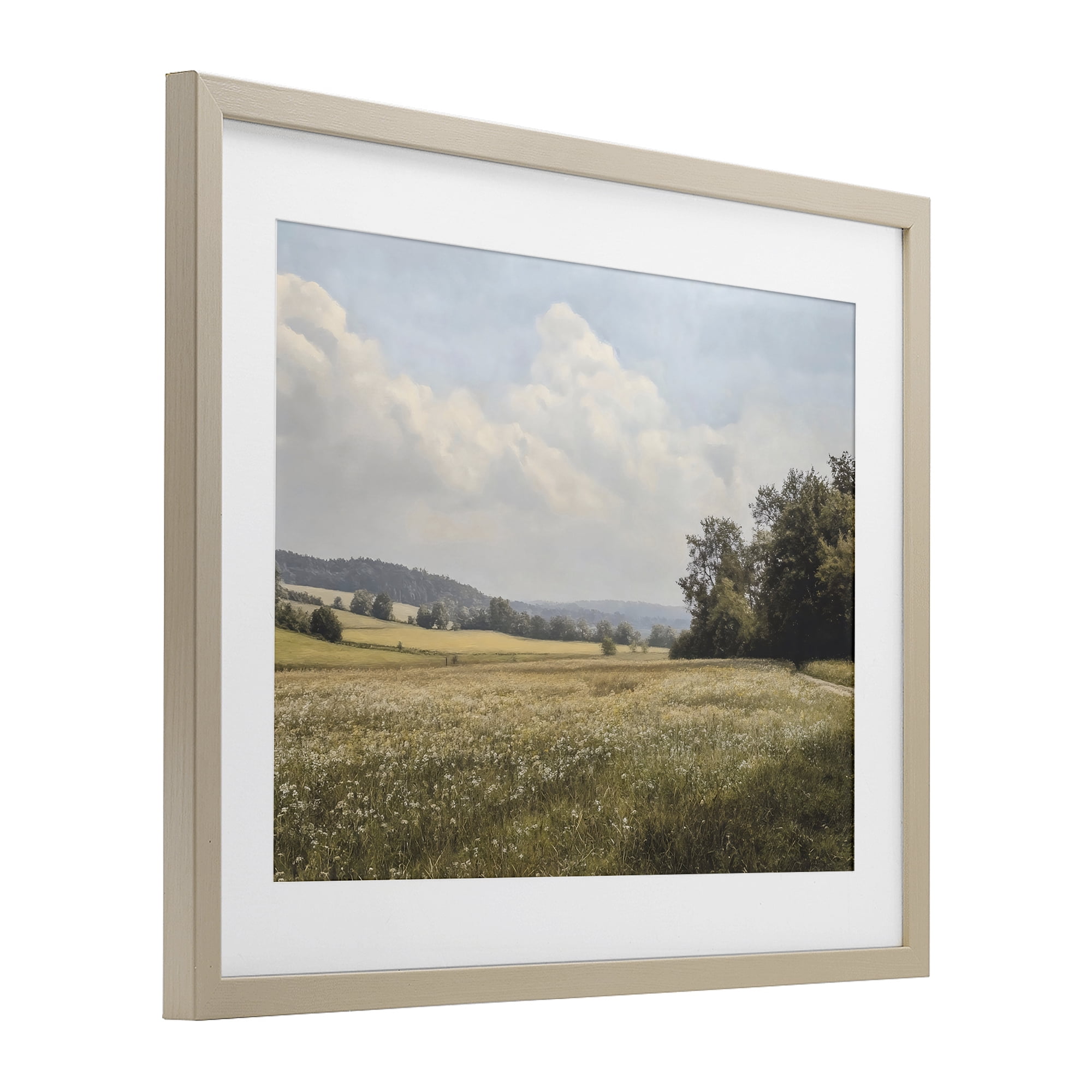Stupell Industries Summer Landscape Cloudy Meadow Birch Framed Print Under Glass, design by Franklyn Gregory