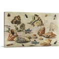 thumbnail image 1 of ARTCANVAS Shells Butterflies And Flowers Canvas Art Print by Jan Van Kessel Elder - Size: 26" x 18" (1.50" Deep), 1 of 9