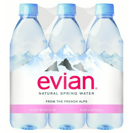 UPC 079298000191 product image for Evian Natural Spring Water  16.9 fl oz  6 Pack Plastic Bottles | upcitemdb.com