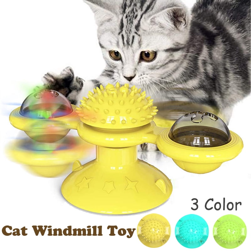 kitten supplies walmart