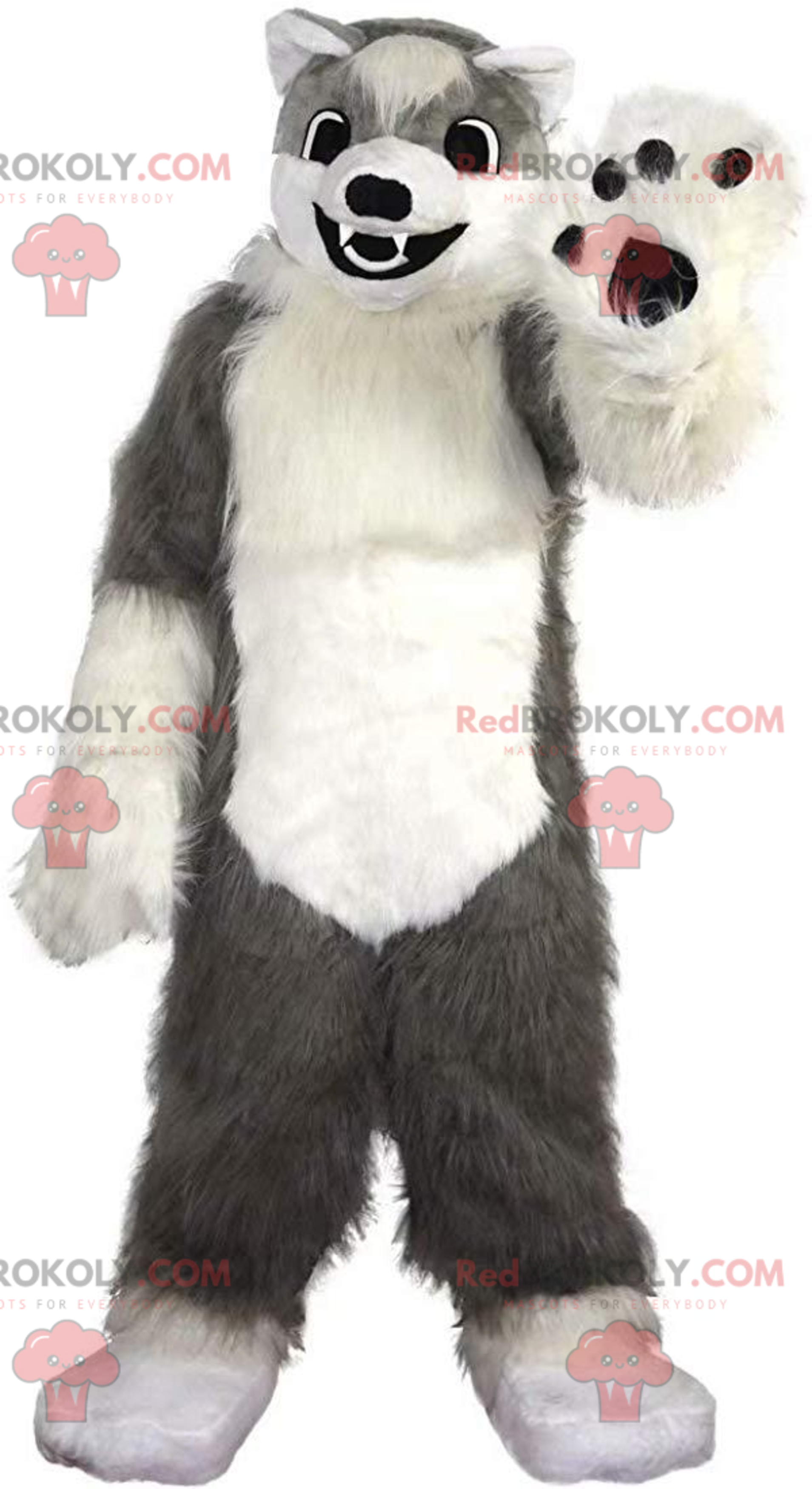 Soft and hairy gray and white dog mascot, wolf costume