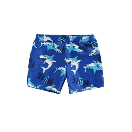 

Calsunbaby Kids Baby Boy Swimwear Trunks Children Shark Dinosaur Printed Beach Wear Shorts Briefs Blue 2-3 Years