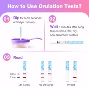 Easy@Home Ovulation & Pregnancy Test Kit: 50 Ovulation Test Strips + 3 Pregnancy Tests + 2 Collapsible Pee Cups for TTC