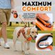 thumbnail image 5 of Correa retráctil para perros IWOOFI New 2025 de 5 m para perros de hasta 50 kg, 5 of 8