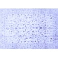 thumbnail image 1 of Ahgly Company Machine Washable Indoor Rectangle Oriental Blue Traditional Area Rugs, 6' x 9', 1 of 4