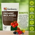 thumbnail image 4 of ⭐ Gardenera Labs Organic Molasses for Plants - Horticultural Dry Molasses - Ideal Plant Food for Traditional & Hydroponic Gardening, for Indoor & Outdoor Plants - (8 OZ), 4 of 6