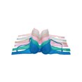 thumbnail image 3 of Angelina Wired, Padded A Cup Bras with Charm Detail (6-Pack), 3 of 5