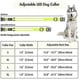 thumbnail image 4 of Ultra Light Usb Rechargeable Led Dog Collar - Adjustable Led Collar Dog - Waterproof Dog Collar - Flashing Dog Collar Visiblity & Safety LUS, 4 of 4