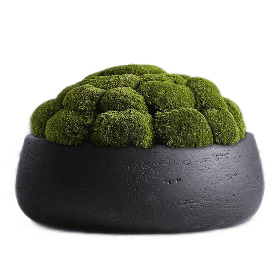 Olly & Rose Large Ceramic Planter Bowl in Matt Black - Shallow Plant Pot Indoor Outdoor Decorative Bowl