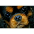 thumbnail image 2 of CafePress - A Mug Of Coco - 11 oz Ceramic Mug - Novelty Coffee Tea Cup, 2 of 3