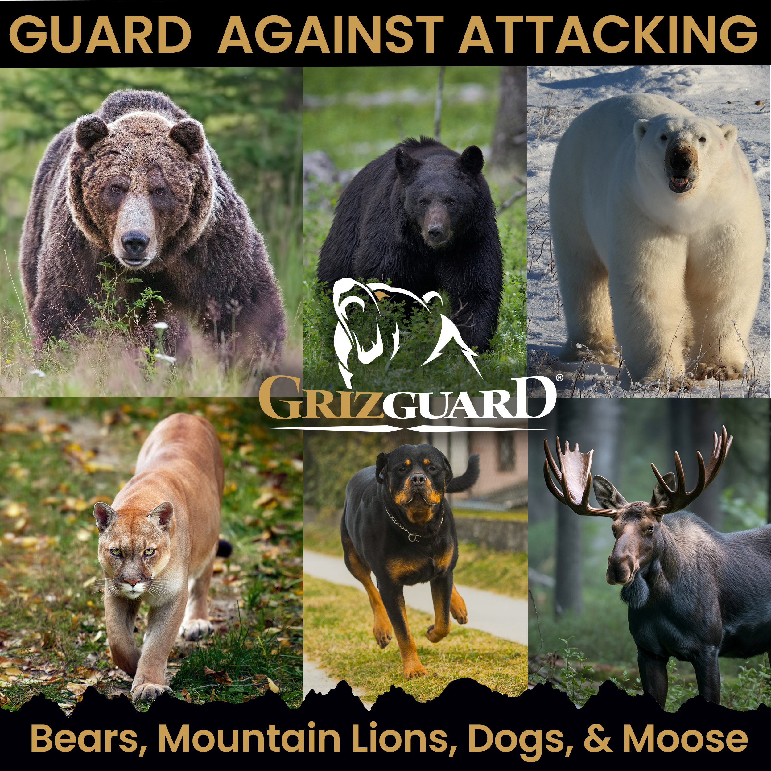 Griz Guard 260GG2 Bear Spray 2 Pack with Holster — 40 ft Range, Maximum Strength EPA-Registered Defense for Bears, Mountain Lions, Coyotes, Dogs & Moose — 9.2 oz Outdoor Hiking & Camping Protection