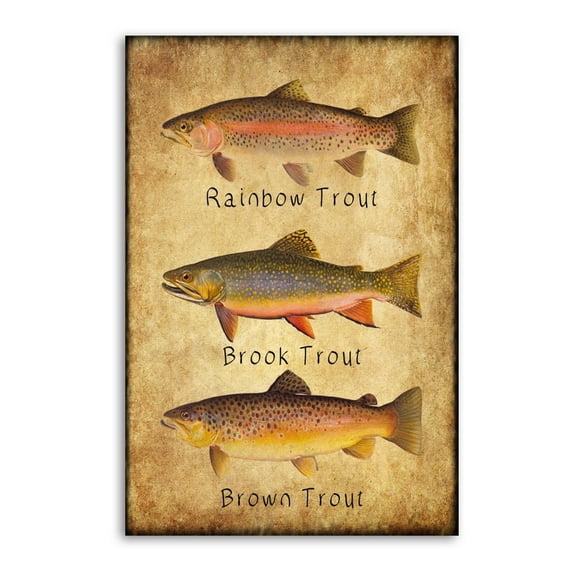 Rainbow Trout Wall Art Poster Gifts Bedroom Prints Home Decor Hanging Picture Canvas Painting Posters 16x24inch(40x60cm)