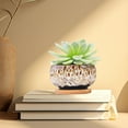 thumbnail image 4 of Ceramic Succulent Pots with Drainage - Cute Mini Planters with Attached Saucer, Indoor Outdoor Flower Containers for Cactus Bonsai Home Garden Decor, Not Included, 4 of 5