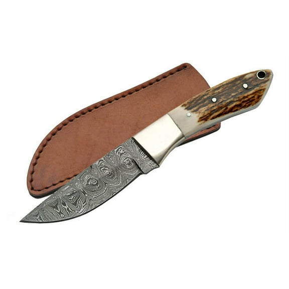 SANZ 8-Inch Stag Clip Point Hunter Knife with Damascus Blade, Stag Handle, Nickel Bolster, and Leather Sheath