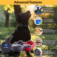 thumbnail image 2 of Collar Educador para Entrenamiento Canino ET-802 a Distancia Impermeable 1.6 km, 2 of 6