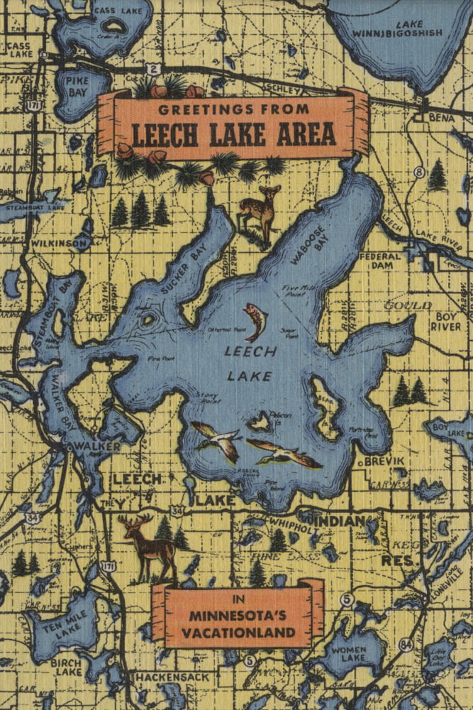 Leech Lake, Minnesota, Lake Essentials, Lake Shape, Acreage, and County (12x18 Wall Art Poster, Room Decor), Size: 12x18 Print