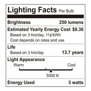 (2 pack) Great Value G25 LED Bulb, 3W (25W Equivalent), Daylight White, Dimmable, E26 Base, 3-Pack, Title 20