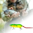 thumbnail image 1 of Realistic 3D Fishing for Trout Catfish Freshwater Saltwater Attractants Lifelike Design, 1 of 3