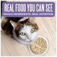 thumbnail image 2 of Tiki Cat Born Carnivore Wet Cat Food, Chicken Breast & Egg Recipe in Chicken Broth, 2.4 oz. Can, 2 of 9