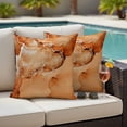 thumbnail image 4 of Marble Burnt Orange Outdoor Waterproof Pillow Covers, Modern Abstract Ink Painting Luxury Decorative Square Throw Pillowcase Sofa Cushion Sham for Patio/Couch/Chair, 24"x24" 2 Pack, 4 of 8
