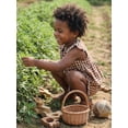 thumbnail image 3 of Loicainy Toddler Baby Girls 2Pcs Plaid Outfits 6 12 18 24 Months 2T 3T 4T Flying Sleeve Square Neck Tops and Elastic Waist Shorts Summer Clothes Set, 3 of 9