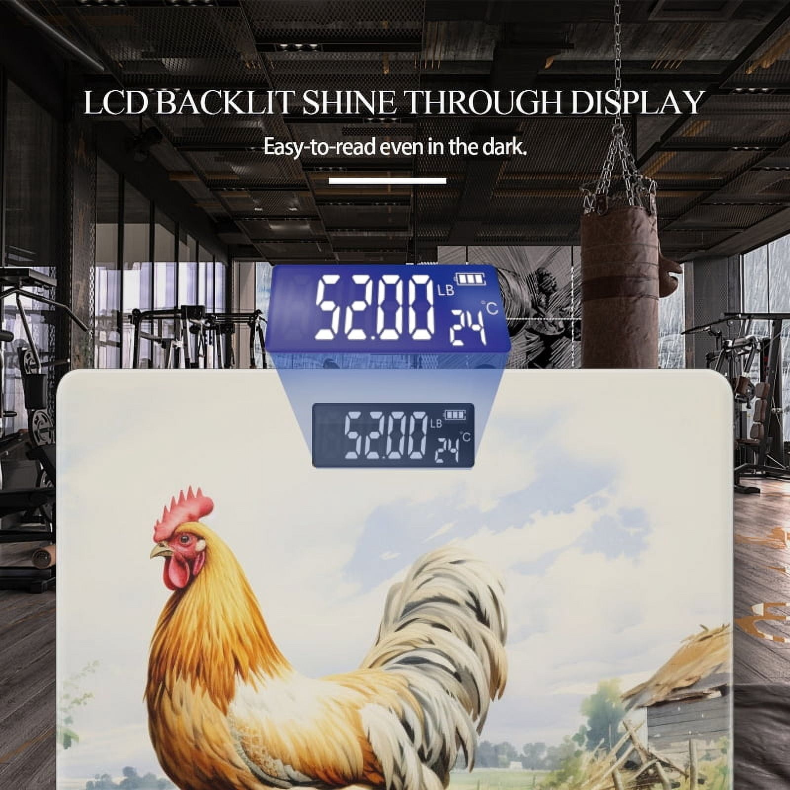 High Precision Body Weight Scale Smart Bathroom Scales with Large LCD Display(400lbs),Decorative for Bedroom-Rooster Standing On The Grass
