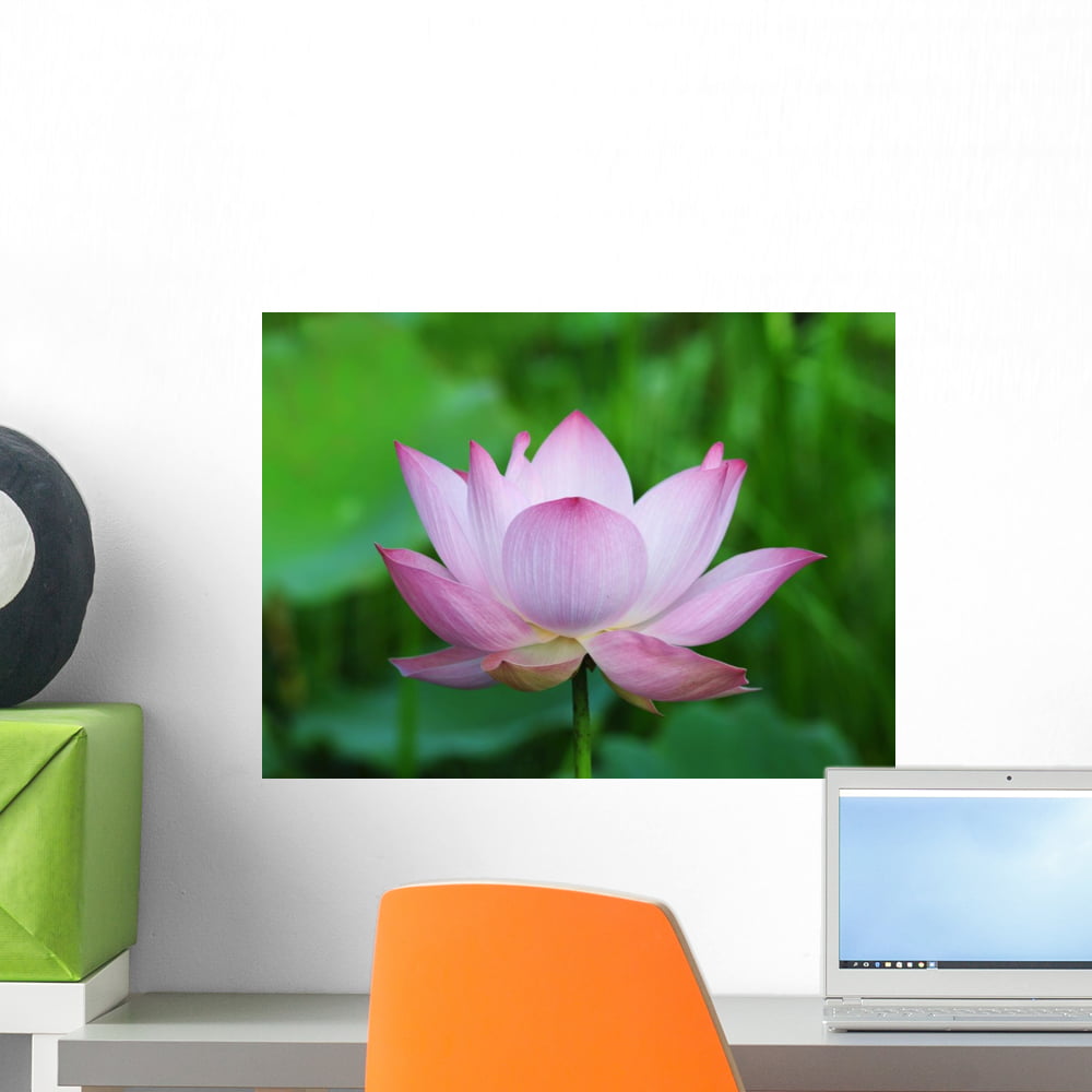 Small Wallmonkeys FOT-71317059-18 WM303929 Pink Lotus Flower Peel and Stick Wall Decals 18 in W x 13 in H