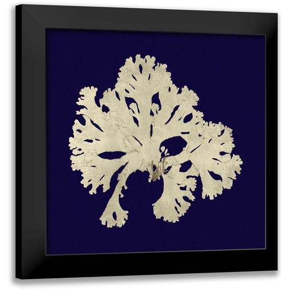 Vision Studio 12x12 Black Modern Framed Museum Art Print Titled - Seaweed on Navy IV