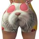 thumbnail image 2 of Fotbe Floral Sunglasses Cat Art Shorts Sin Costuras – Shorts Deportivos de Cintura Alta para Mujer, Elásticos para Gimnasio, Yoga, Running o Ciclismo-XX-Large, 2 of 7