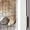 55.2" L White&Gray, variant on Aivituvin 55.2" Rabbit Hutch Indoor Outdoor, 2-Story Bunny Cage with Chew-Proof Full Metal Frame, 6 Locking Casters, 2 Pull-Out Trays for Rabbits Guinea Pigs Small Pets