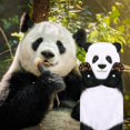 thumbnail image 3 of Toalla de mano DaisyJoy Panda, bonita, suave y absorbente, 3 of 7