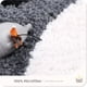 thumbnail image 2 of Alfombra de baño antideslizante de 19,6 x 23,6 pulgadas, microfibra suave, absorbente de agua, alfombra de ducha gruesa y peluda, alfombra de baño lavable a máquina para baño, gato, 2 of 4