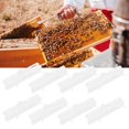 thumbnail image 3 of 10Pcs Ruche Piège Capteur Couve Capture Outils Apiculture Fournitures, 3 of 8