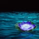 thumbnail image 5 of Luces Led Solares para Río | Luces Decorativas Solares para Rafting Al Aire Libre con Led Rosa, Rojo, Morado, Amarillo y Blanco | Iluminación Resistente a La Intemperie para Estanques y Patios | Deco, 5 of 6