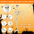 thumbnail image 3 of 36inch Halloween mermaid skeleton, with flexible joints, can be posed and hung, suitable for Halloween indoor and outdoor decorations, parties, horror scenes and other occasions, 3 of 7