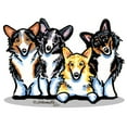 thumbnail image 3 of CafePress - Four Corgis Women's Light Pajamas - Women's Short Sleeve Print T-Shirt and Pants Light Cotton Pajama Set, 3 of 7