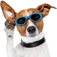thumbnail image 3 of TopLLC Lunettes de Protection pour Petits et Moyens Chiens, 3 of 7