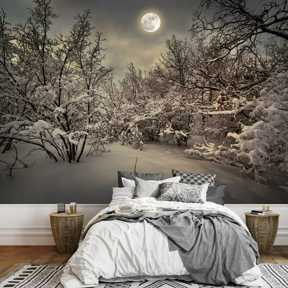 wall26 - Moonlight Night in Winter Wood - Removable Wall Mural | Self-Adhesive Large Wallpaper - 66x96 inches
