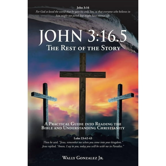 John 3: 16.5: The Rest of the Story: A Practical Guide into Reading the Bible and Understanding Christianity, (Paperback)