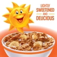 thumbnail image 2 of Kellogg's Complete Bran Breakfast Cereal, Fiber Cereal, Family Breakfast, Original, 11.6oz Box (1 Box), 2 of 4