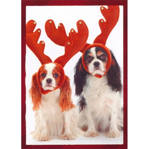 Northern Exposure 2 Dogs Wearing Stuffed Antlers Funny / Humorous Box of 12 Christmas Cards
