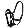thumbnail image 1 of Nylon Equestrian Western Horse Halter Horse Riding Wear Thickened 6mm 3 size, 1 of 8