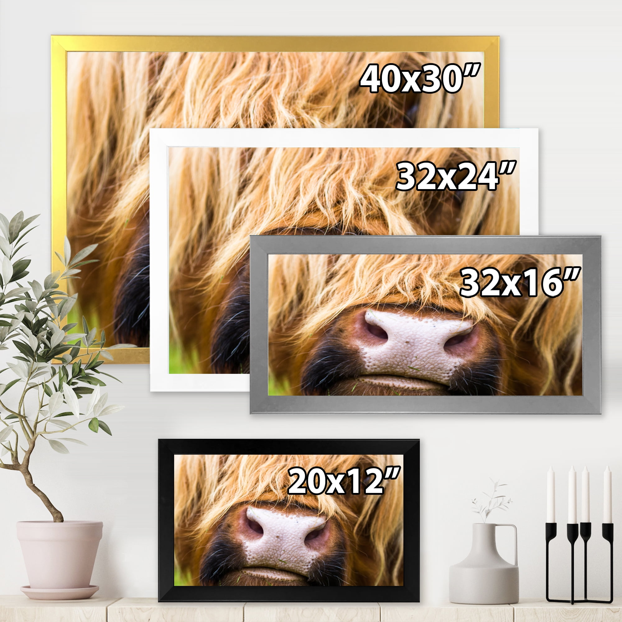 Designart 'Close-Up Highland Cattle' Farmhouse Framed Art Print