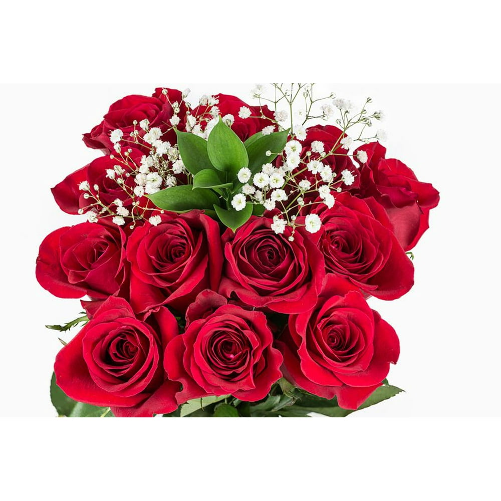 Fantasy Farms 10 Dozen Roses + GYP + Green 40 CM Fresh