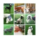 thumbnail image 4 of Paquete de 3 pañales femeninos lavables, pañales para perros, cómodos pañales reutilizables para perros, pantalones fisiológicos para niñas y perros en período de calor, 4 of 4