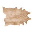 thumbnail image 1 of Loloi Grand Canyon 3'10" x 5' Rug in Tan, 1 of 2