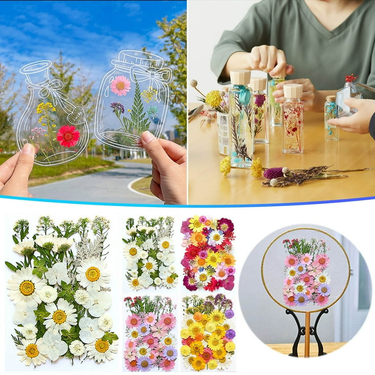 Matoen Pink Dried Pressed Flowers, Real Nature Flowers Set for